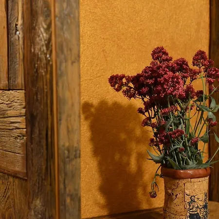 בית הארחה Vecchio Mulino 4*